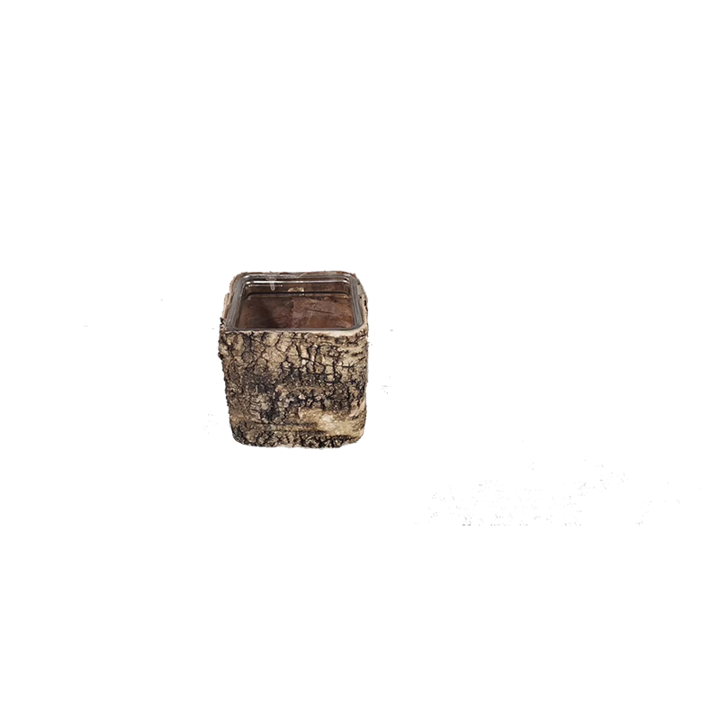 Birch Bark Basket